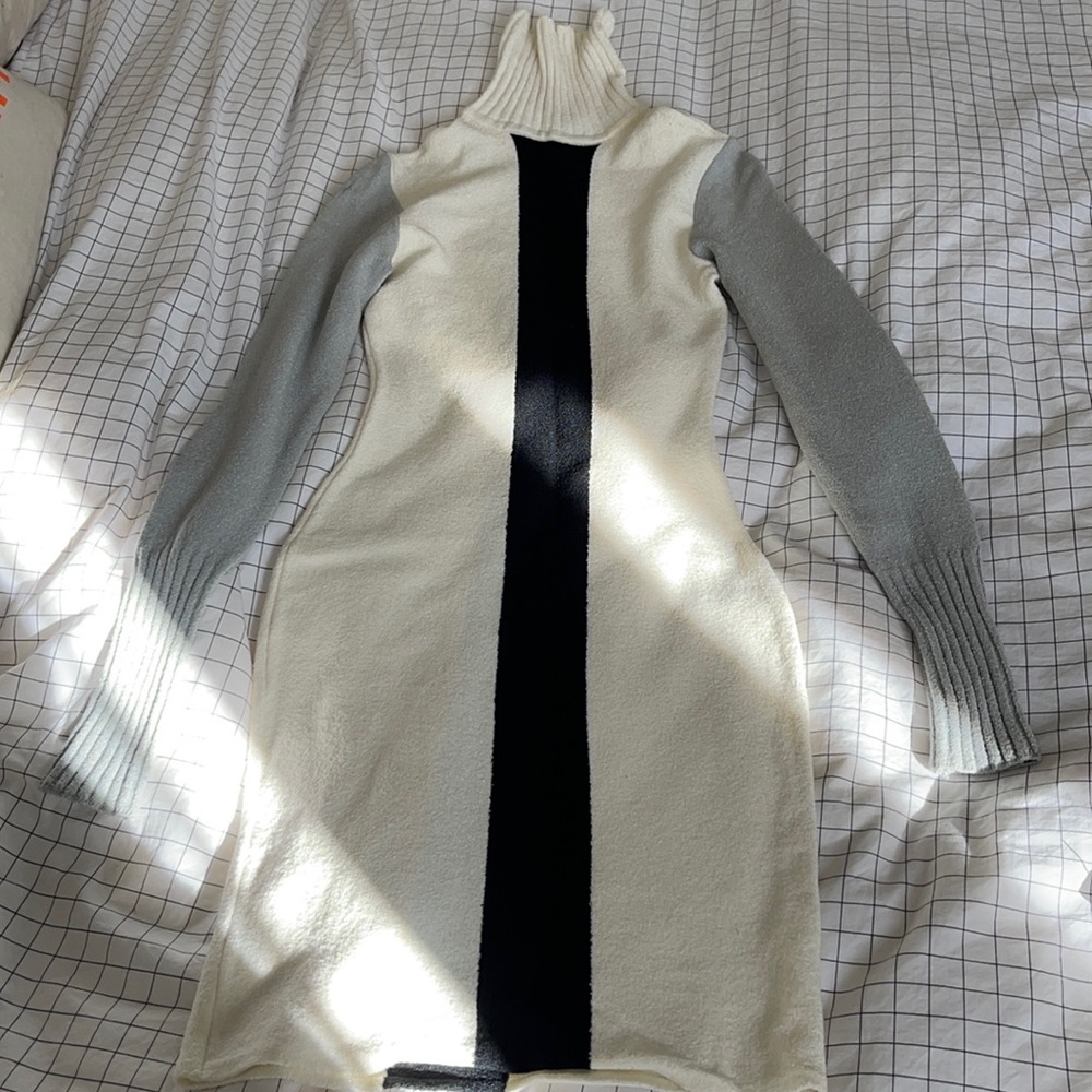 PARIS ANTI-FLIRT TURTLE NECK DRESS
